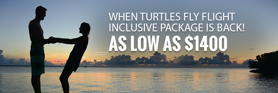 When Turtles Fly Package