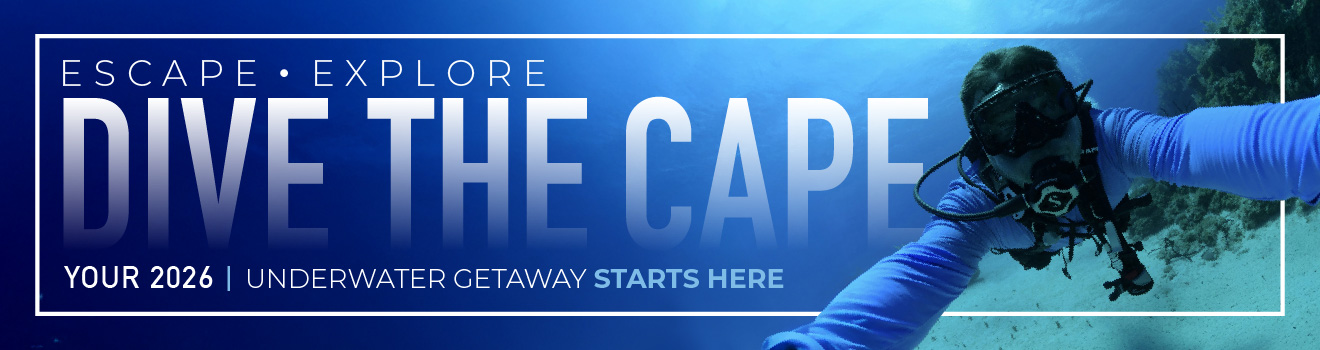 Escape. Explore. Dive the Cape.
