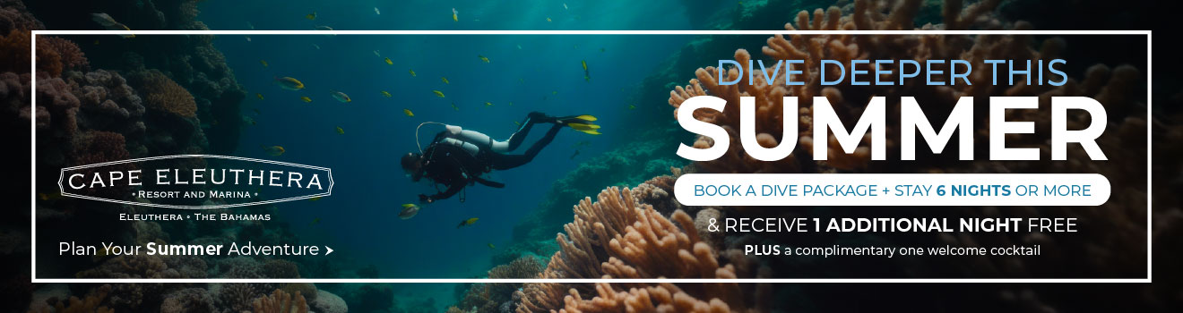 Dive Deeper This Summer Promotion