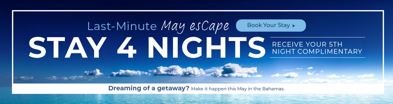 Summer at the Cape Promotion